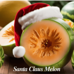 Santa Claus Melon: A Refreshing Fruit with Incredible Benefits